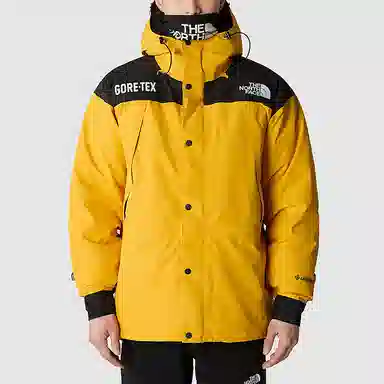 The North Face GTX Mountain Jacket