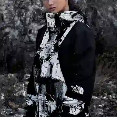 The North Face 1994 Mountain Light Jacket