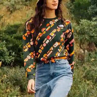 THE NORTH FACE Vanlife Logo