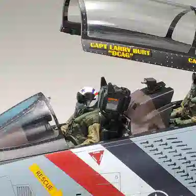 148 F-14D 39.8cm 8cm