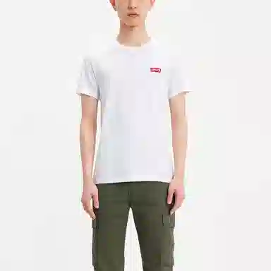 Levis Levis T 2