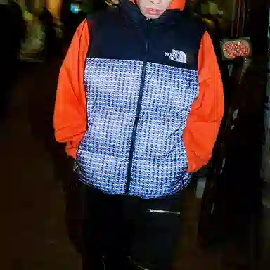Supreme x The North Face Studded Nuptse Vest