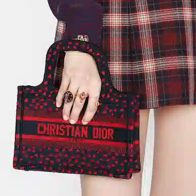 DIOR BookTote Tote