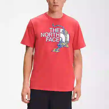THE NORTH FACE SS22 LogoT