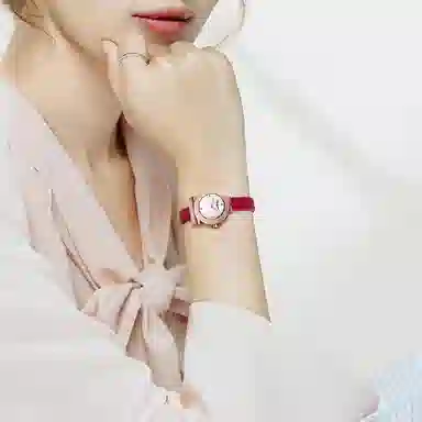 FERRAGAMO F43020017