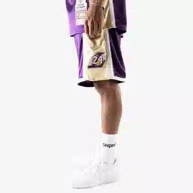 Mitchell & Ness 96-16 Los Angeles Lakers Purple