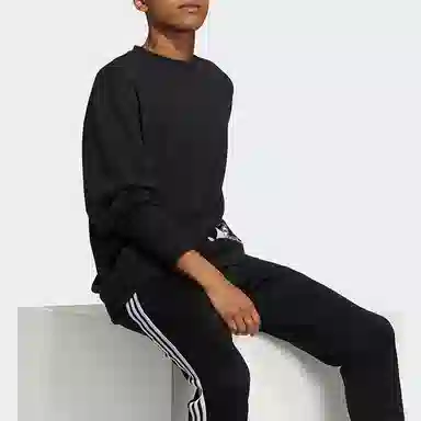 adidas originals Bear Crew Logo