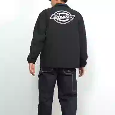 Dickies Logo