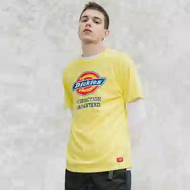 Dickies SS21 T