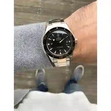 Omega Seamaster 233.20.41.21.01.001