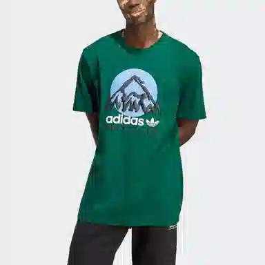 adidas originals Adv Mtn F Tee LogoT