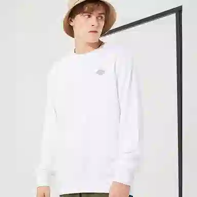 Dickies Logo
