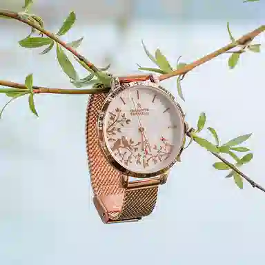 CHARLOTTE RAFFAELLI CRW003