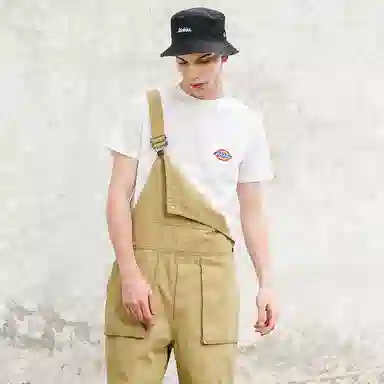 Dickies SS21 logoT