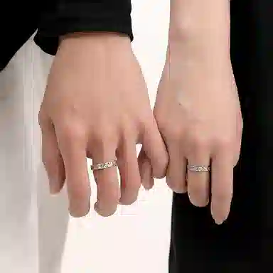 PARAS KORS PK Meteorite