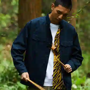 Dickies logo