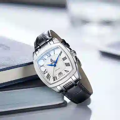 ERNEST BOREL COSC 37mm GS1856S-E251BK