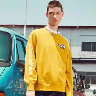 Dickies Logo