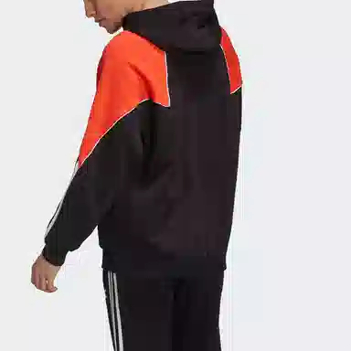 adidas originals Bg Tf Ab Hoody