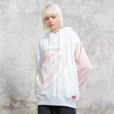 Dickies SS21 Logo