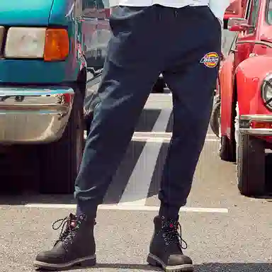 Dickies FW21 Logo