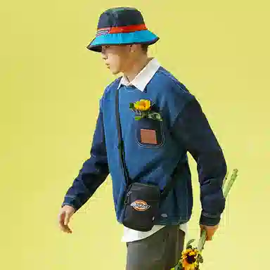 Dickies 100