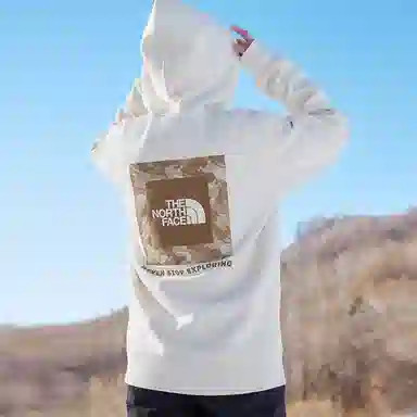 THE NORTH FACE Logo