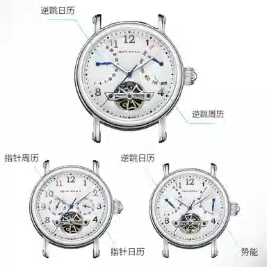 Sea-Gull 819.17.6122