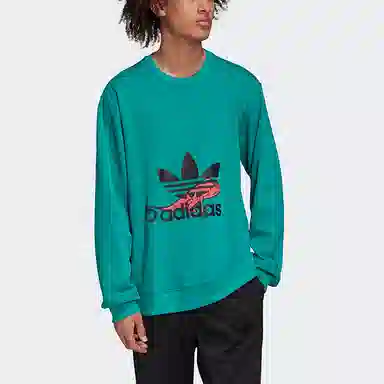 adidas originals Hoody Sweatshirt