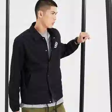 Dickies Logo