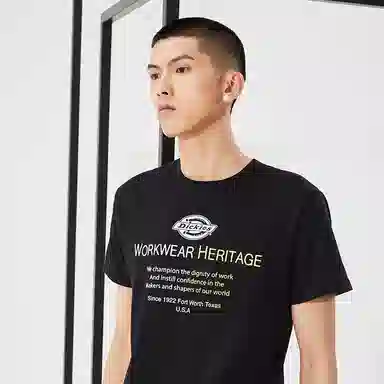 Dickies logoT