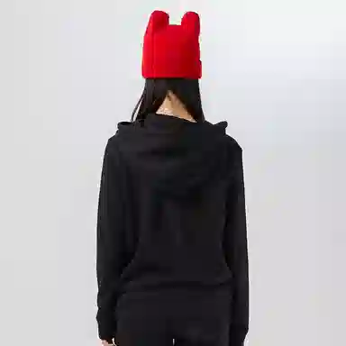 HIPANDA