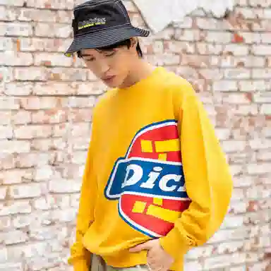 Dickies Logo