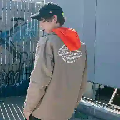 Dickies Logo