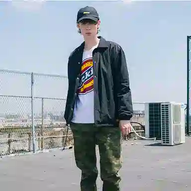 Dickies Logo