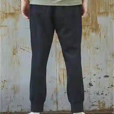 Dickies FW21 Logo