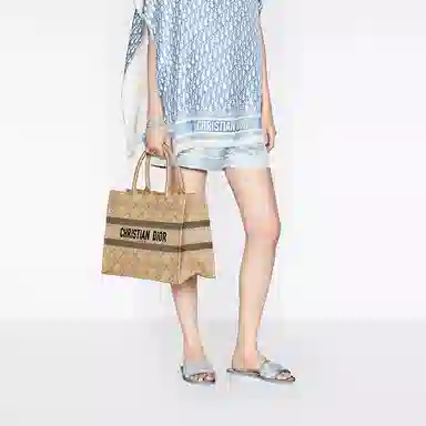 DIOR BookTote Tote