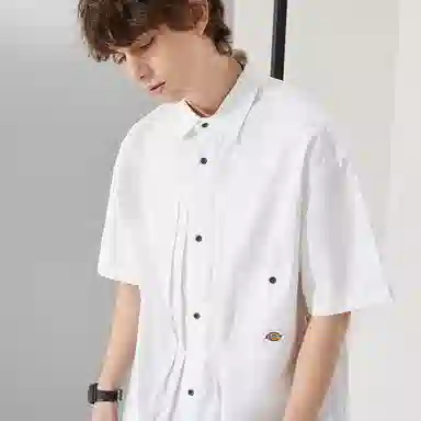 Dickies