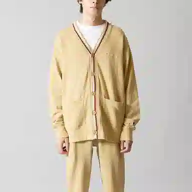 Champion V