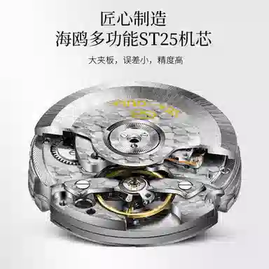 SEA GULL 819.17.6124