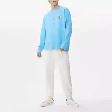 Dickies SS23 T
