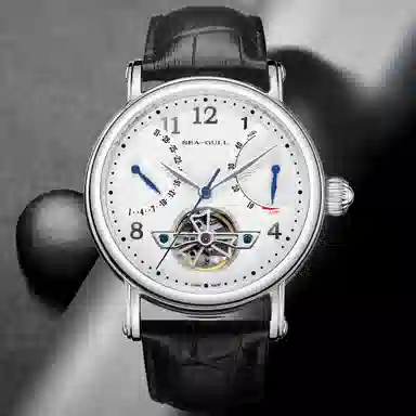 SEA GULL 819.17.6124