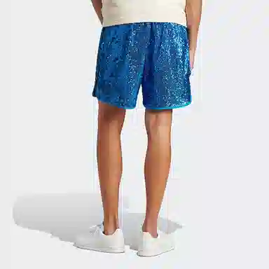 adidas Blue Version Shorts