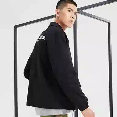 Dickies Logo