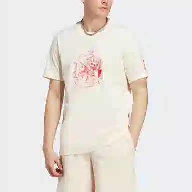 adidas Ajax Amsterdam Graphic Tee