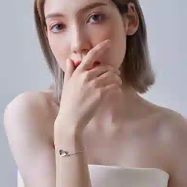 DaisyFellowes FF DF 925