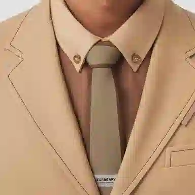 Burberry Tie Brown