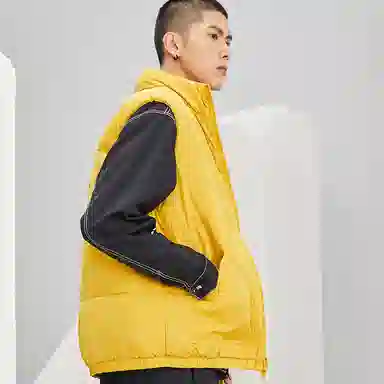 Dickies logo