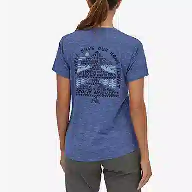 patagonia T