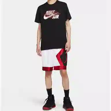 Jordan Air Wings T